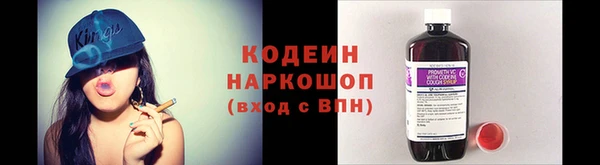 ПСИЛОЦИБИНОВЫЕ ГРИБЫ Арсеньев