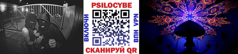 Псилоцибиновые грибы Psilocybine cubensis  Дмитров 