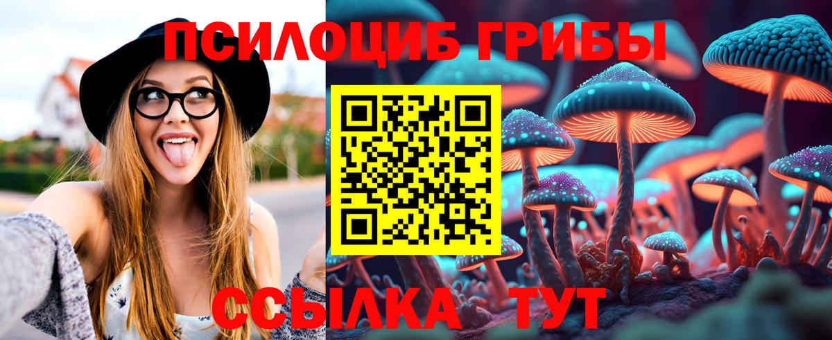 Псилоцибиновые грибы Magic Shrooms  Вход с VPN  Дмитров  Галлюциногенные грибы прущие грибы 